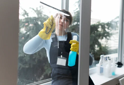 Nettoyage de vitres intérieures et extérieures à Ruvigny